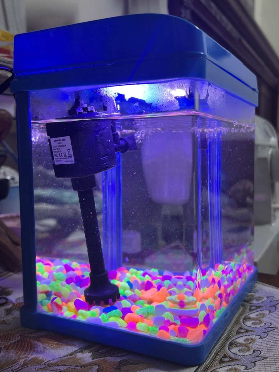 Mini fish tank - Image 3