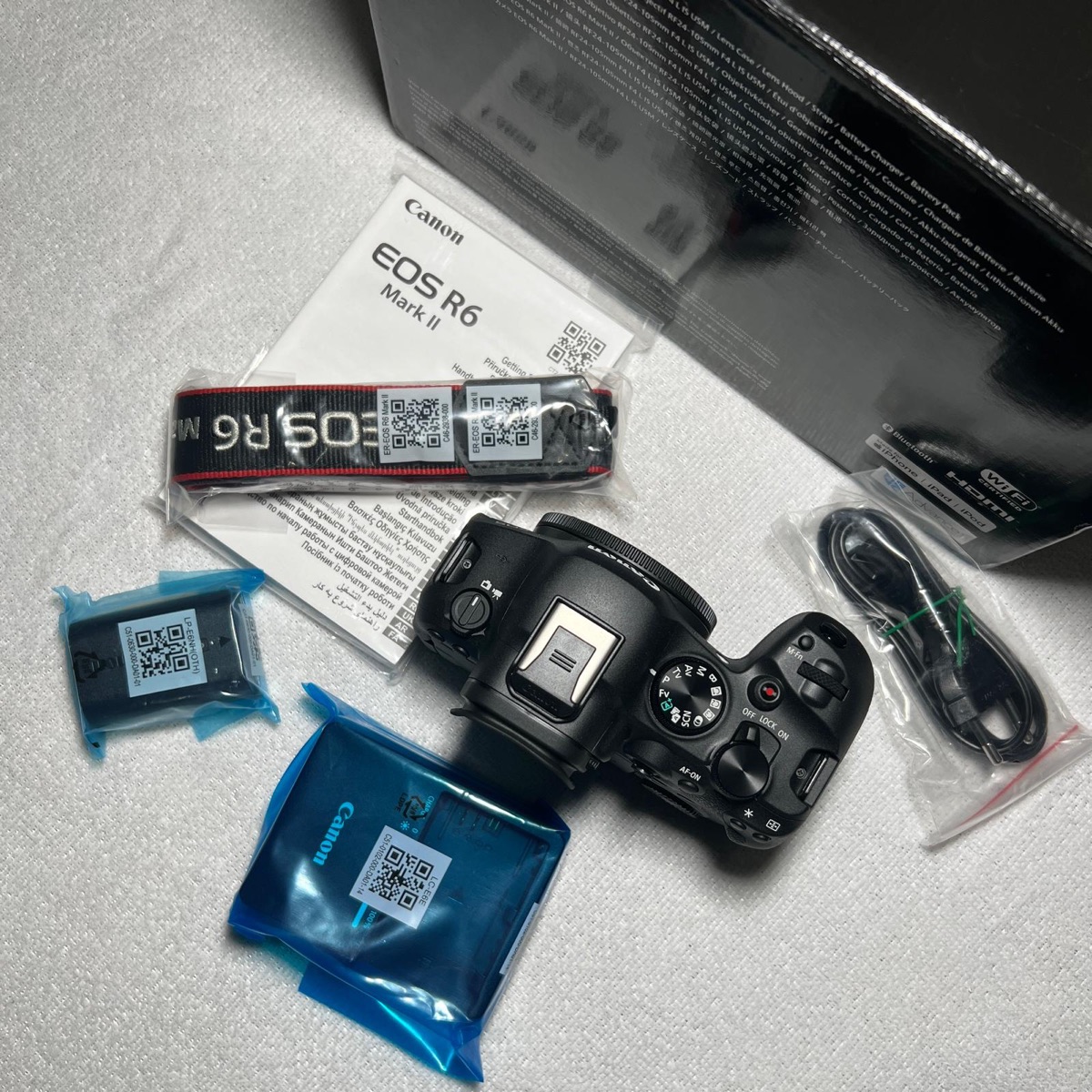 Canon R6 mark ii - Image 1