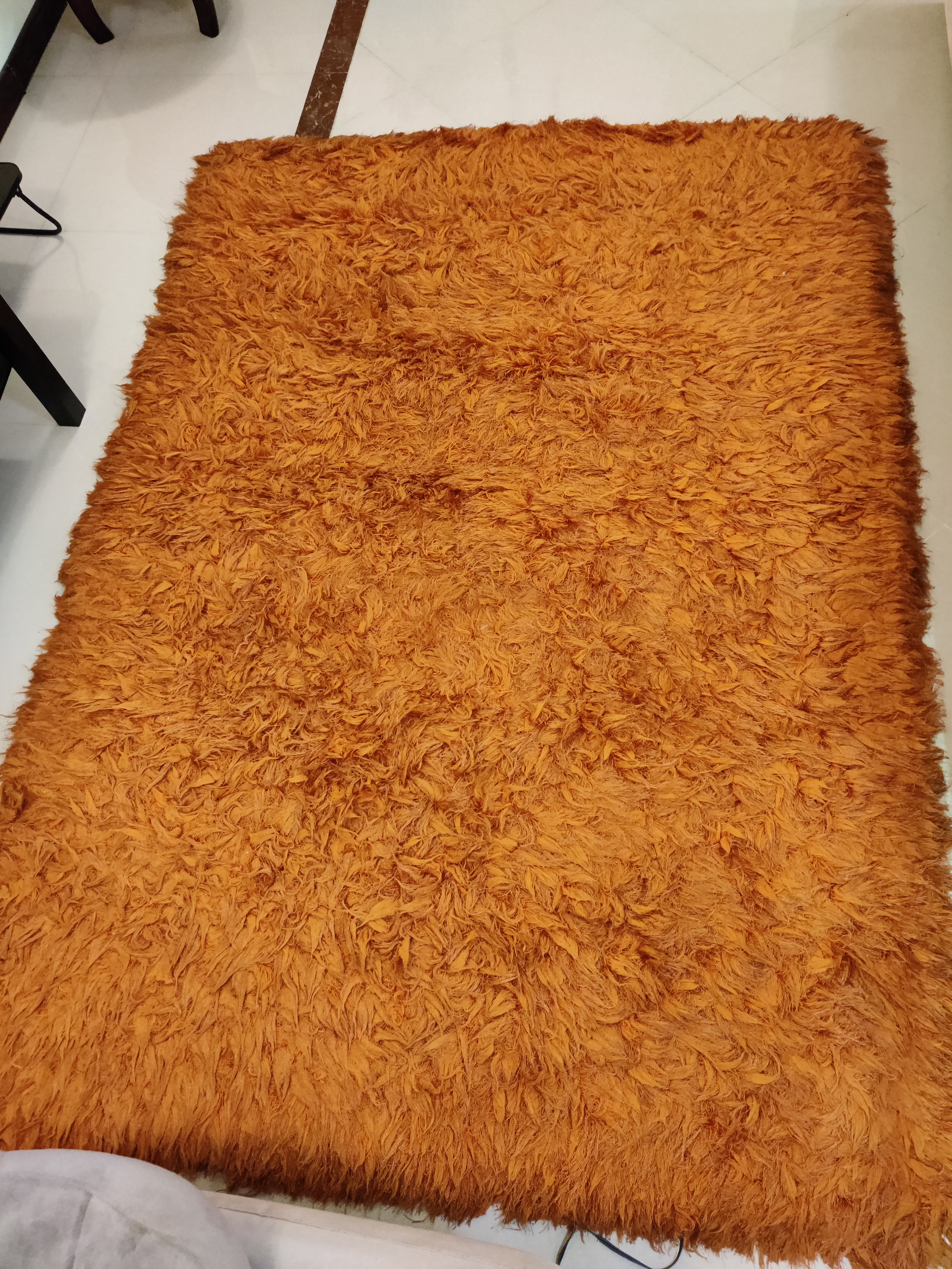 Carpet homesrus for sale (Vacuum cleaner free) - Image 2