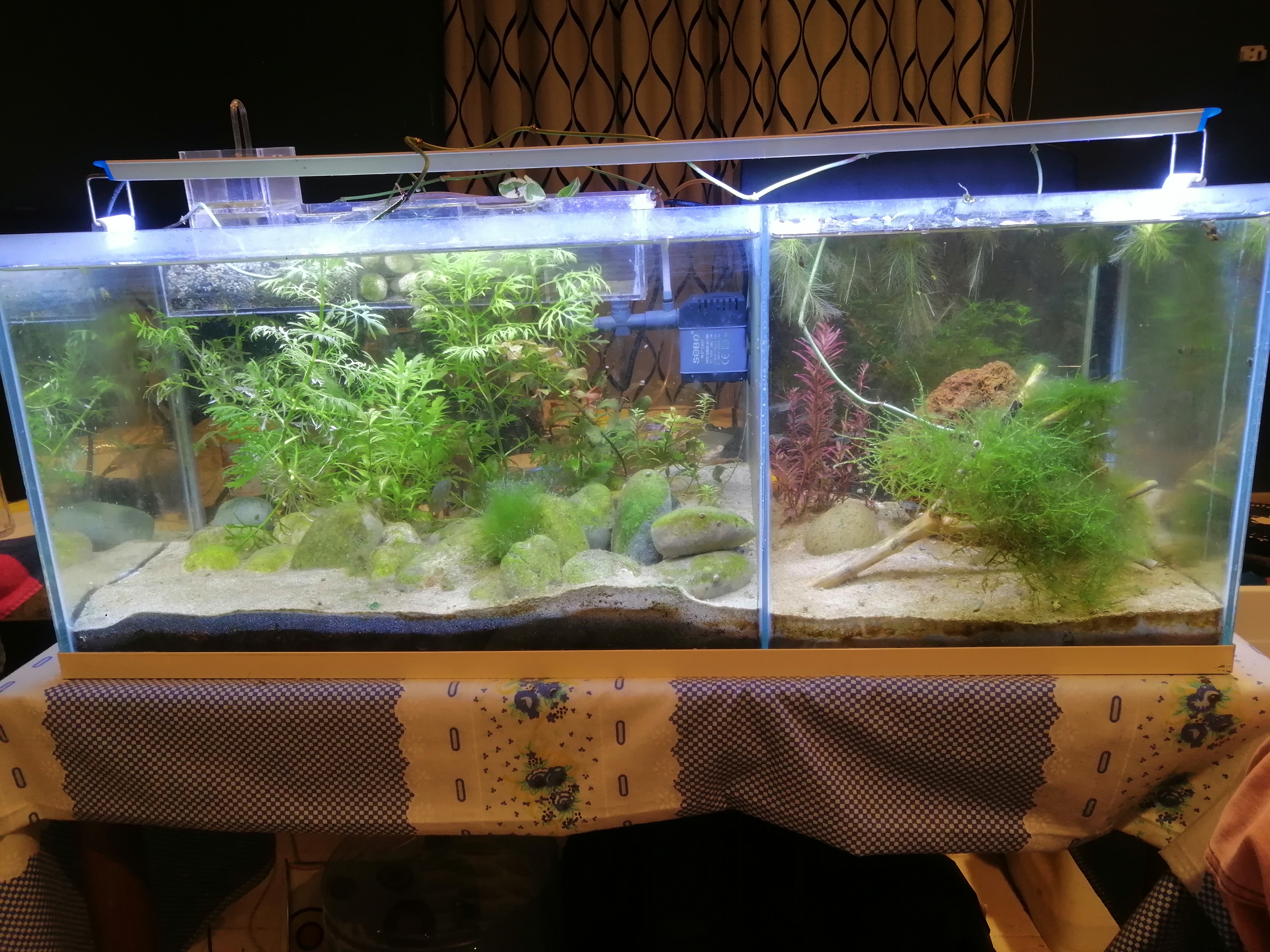 Fish tank - Image 3
