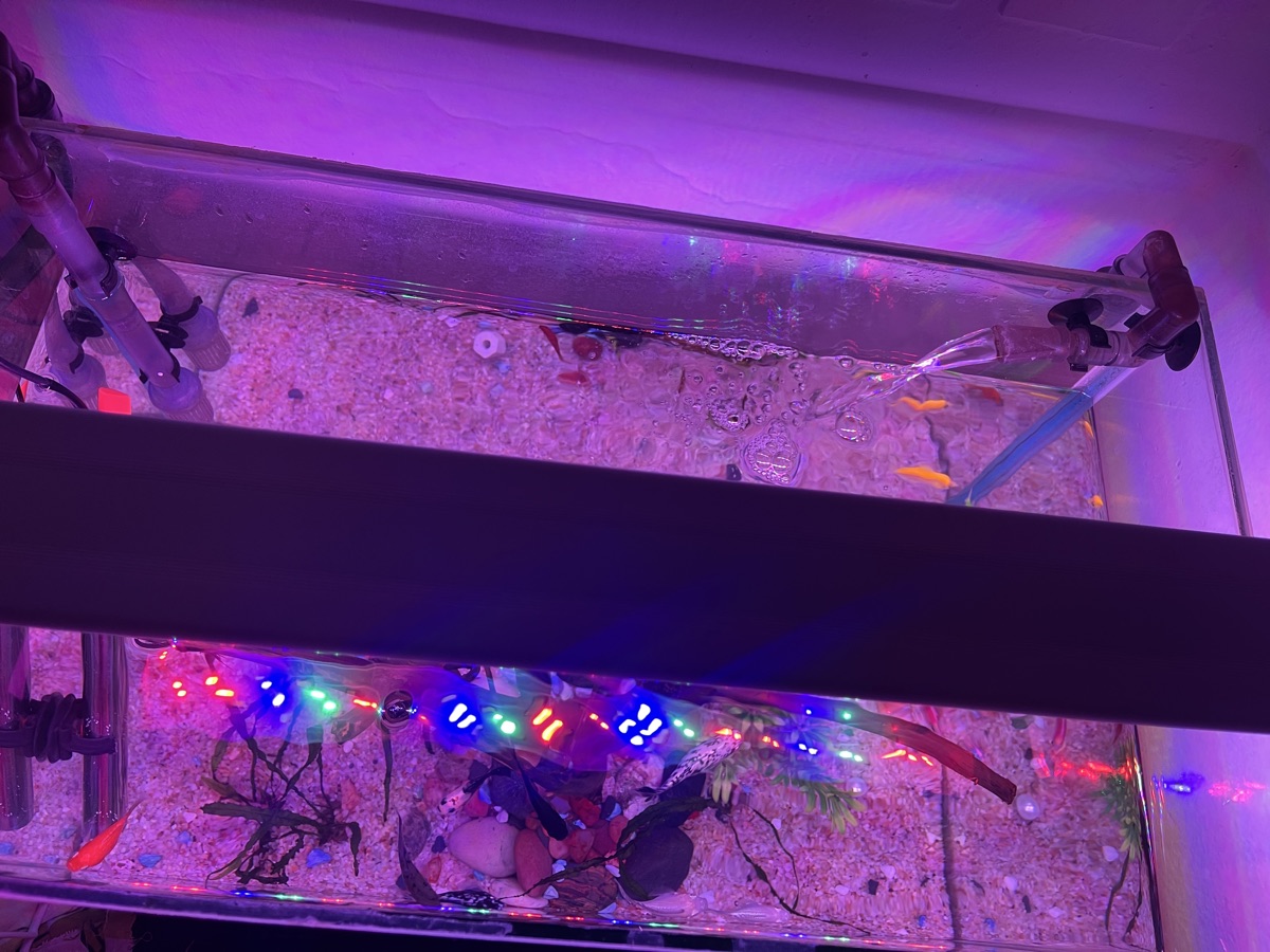 13 Gallon Glass Aquarium with Full accessories - Image 5