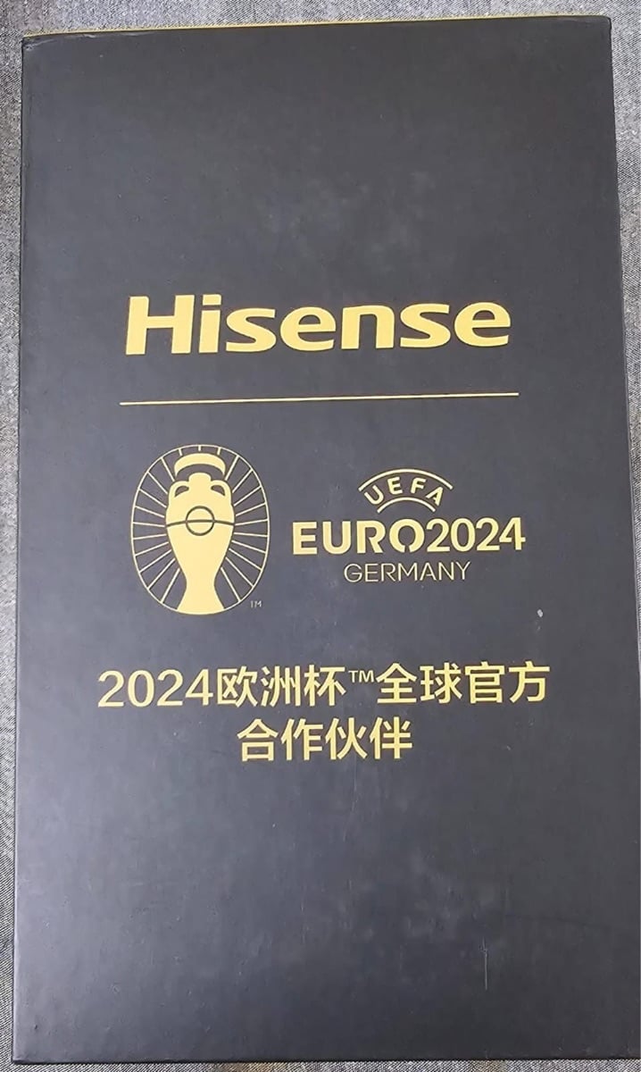 Official Euro 2024 Sponsor Trophy - Image 2