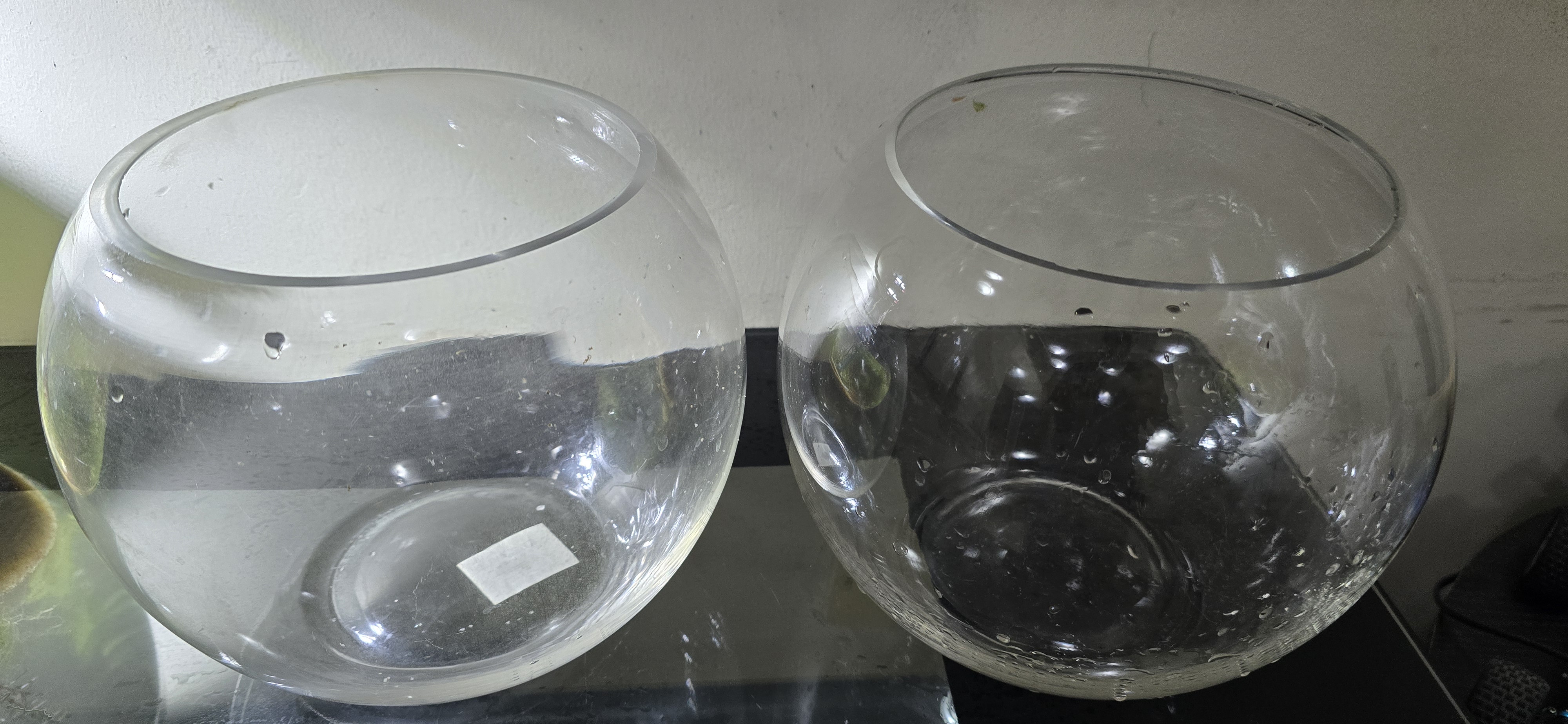 Aquarium fish bowl - Image 2