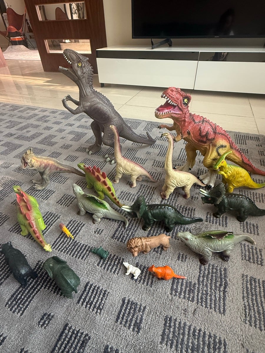 Kids dinosaurs set - Image 2