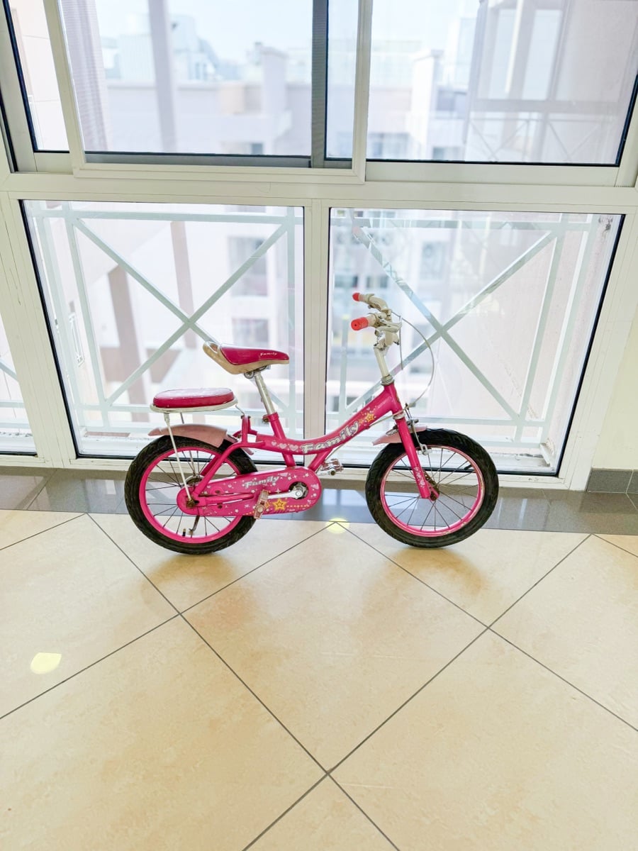 14 Girls Bicycle - Image 1