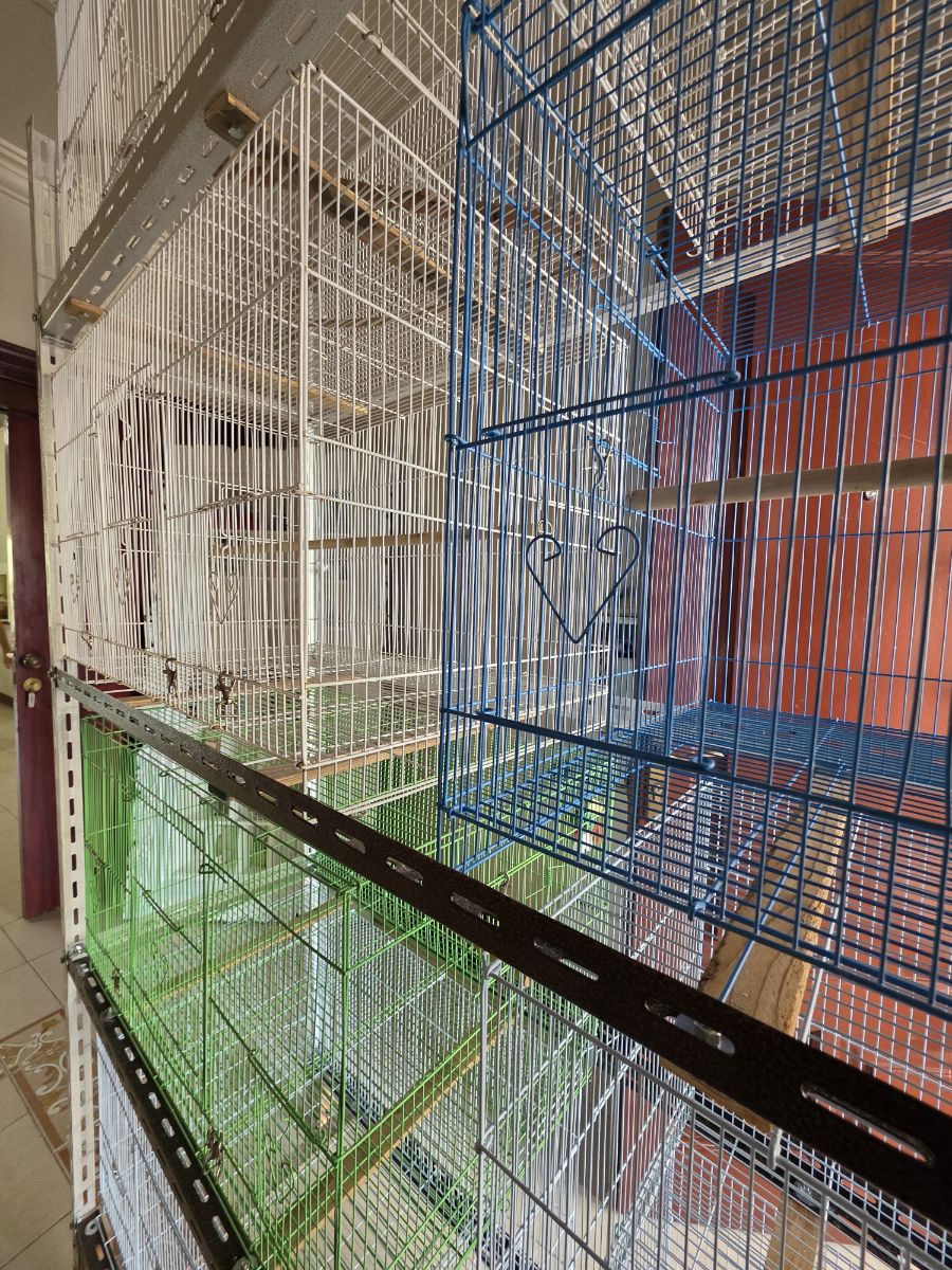 Cage stand - Image 5