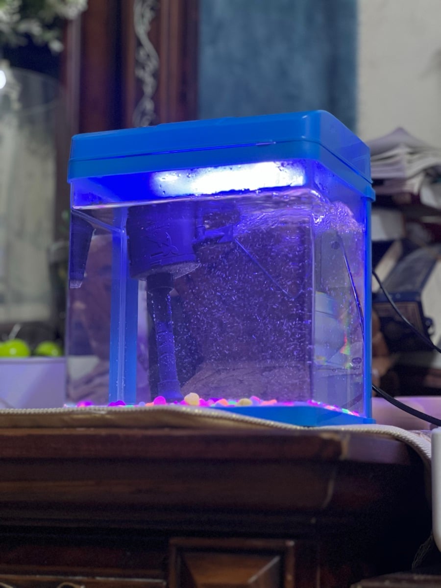 Mini fish tank - Image 4