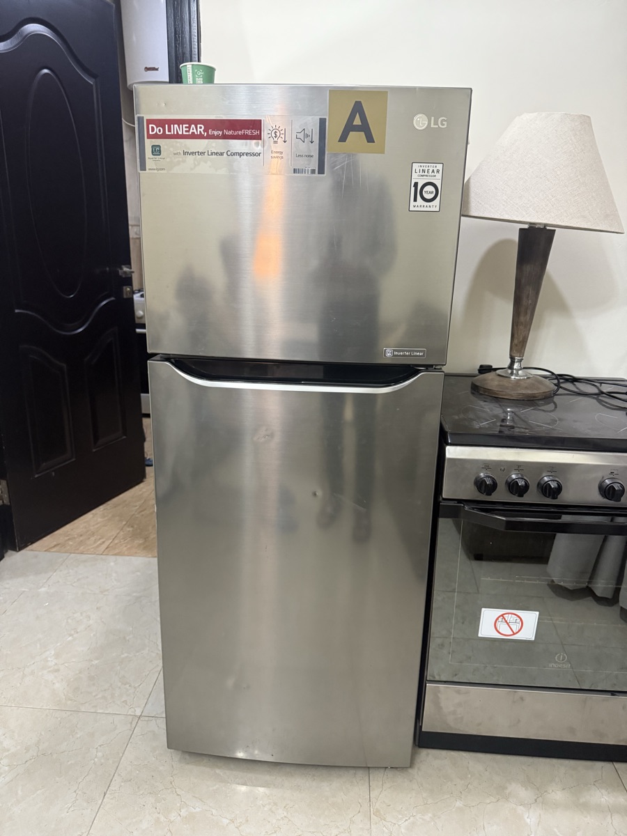 LG Refrigerator (excellent condition) - Image 1