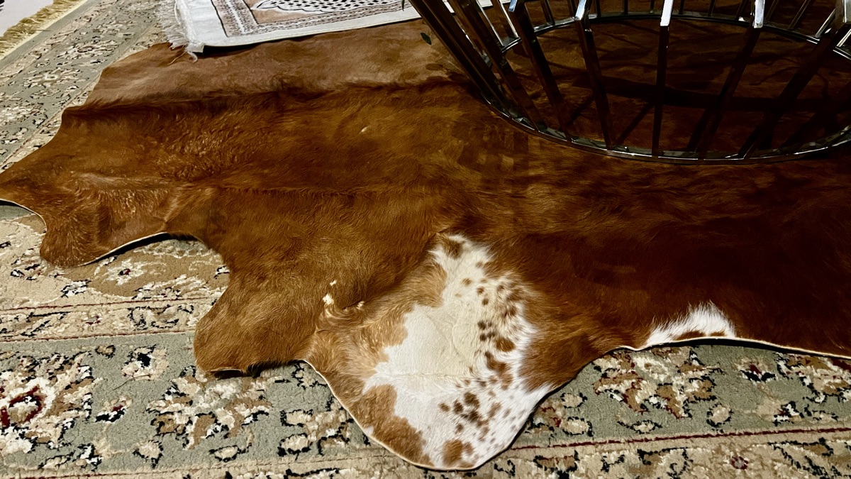 Natural luxury fine cowhide skin for sale - Image 4