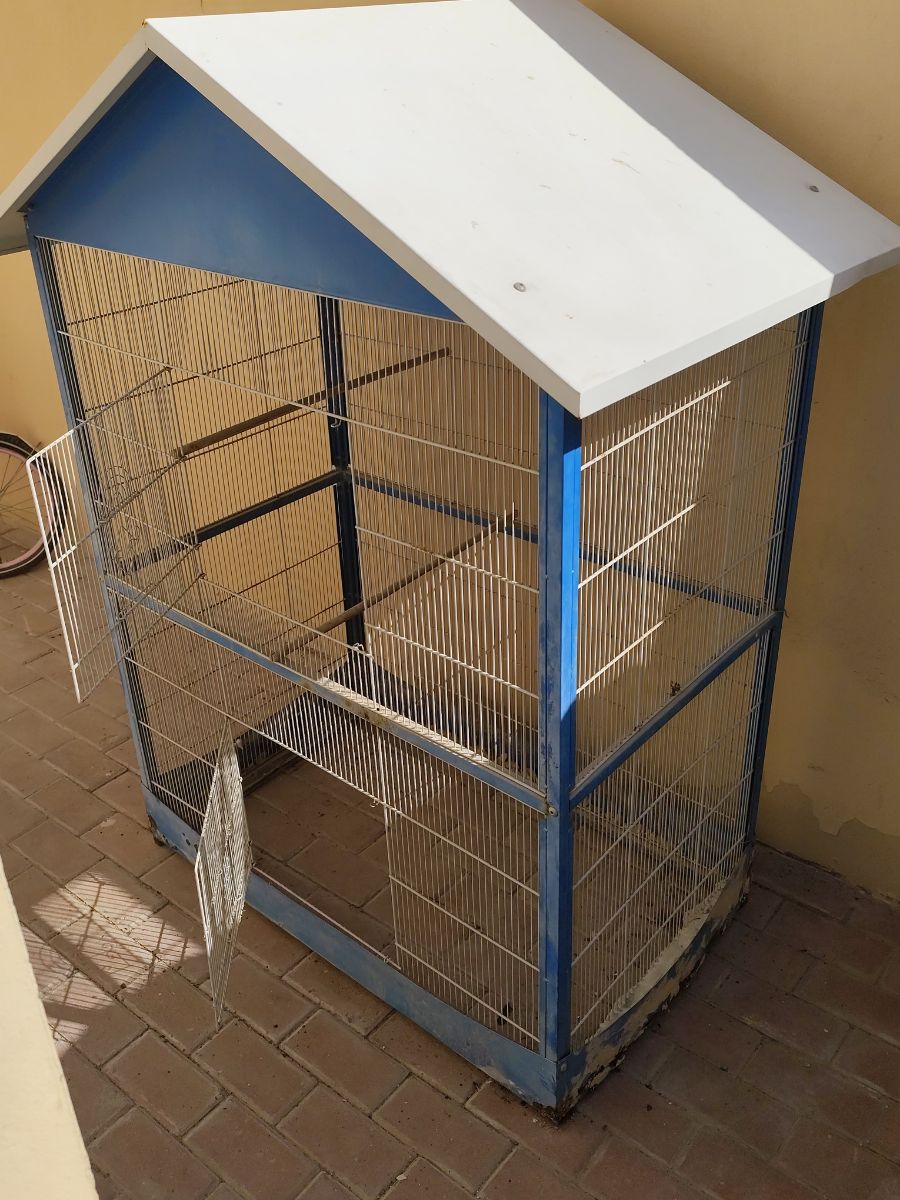 Big Birds cage - Image 4
