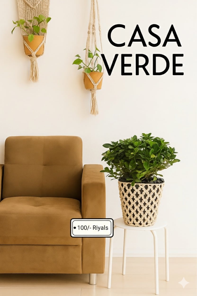 Snake Plants with Macrame Pot Cover - Image 2