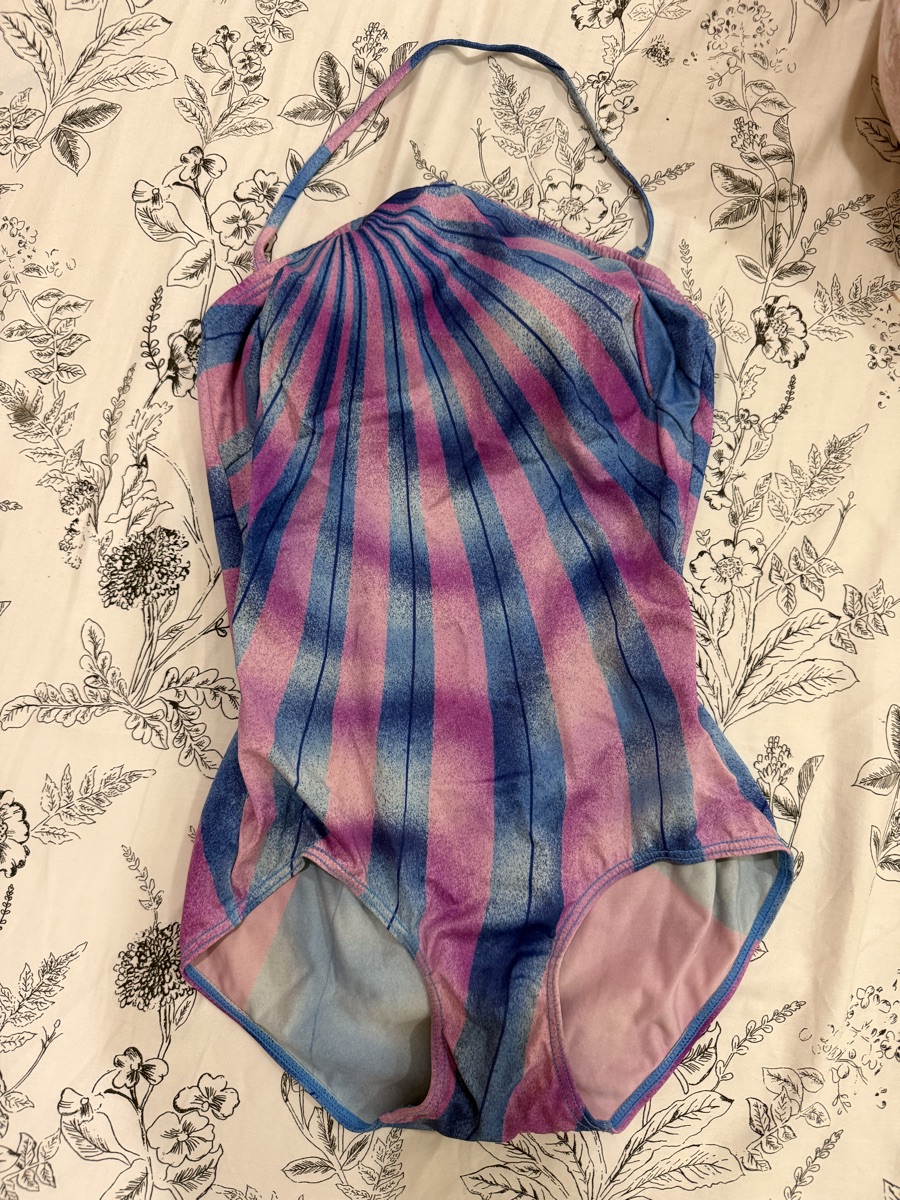 Purple and Blue Swimwear - Image 1
