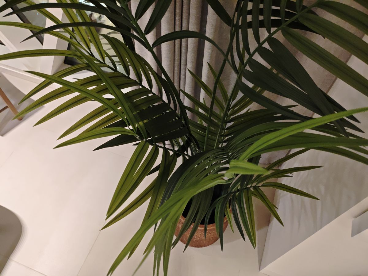Artificial plant IKEA - Image 3
