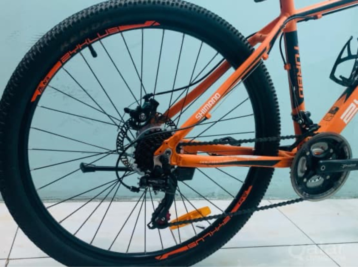 Zyklus Turbo 36 - Bicycle for sale - Image 6