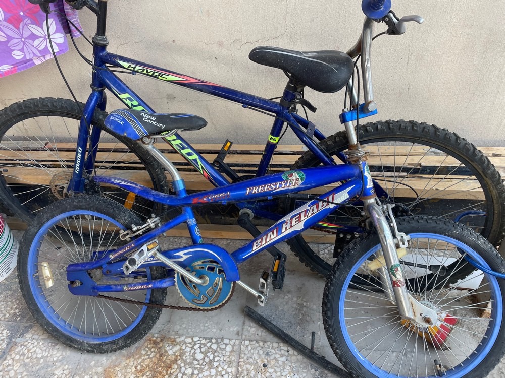 fish with fish tank Bicycles and Airtel receiver single steel bed - Image 10