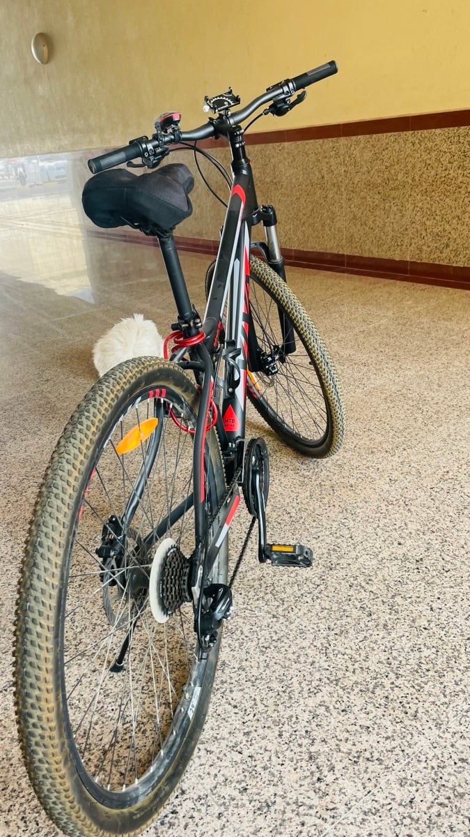 29" VIVA MTB Series Cycle for Sale - Image 3