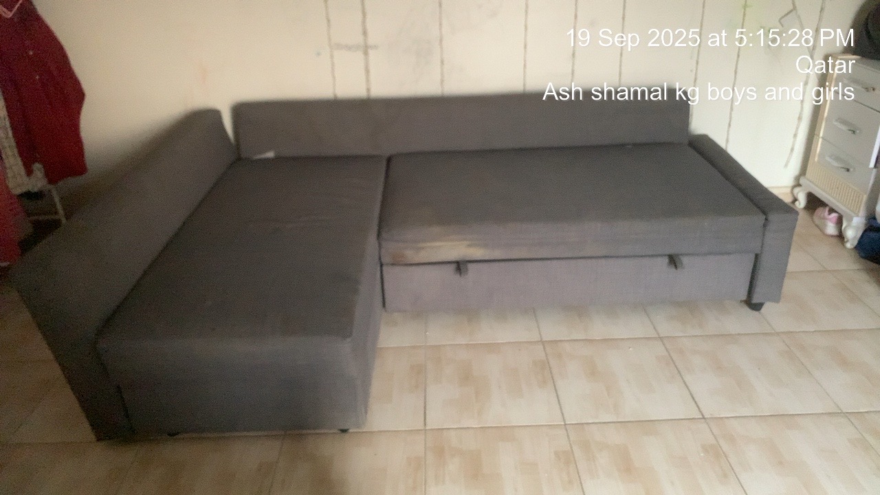 Sofa cum Bed - Image 3