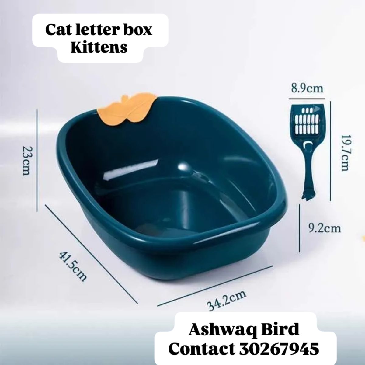 Cat letter box brand - Image 2