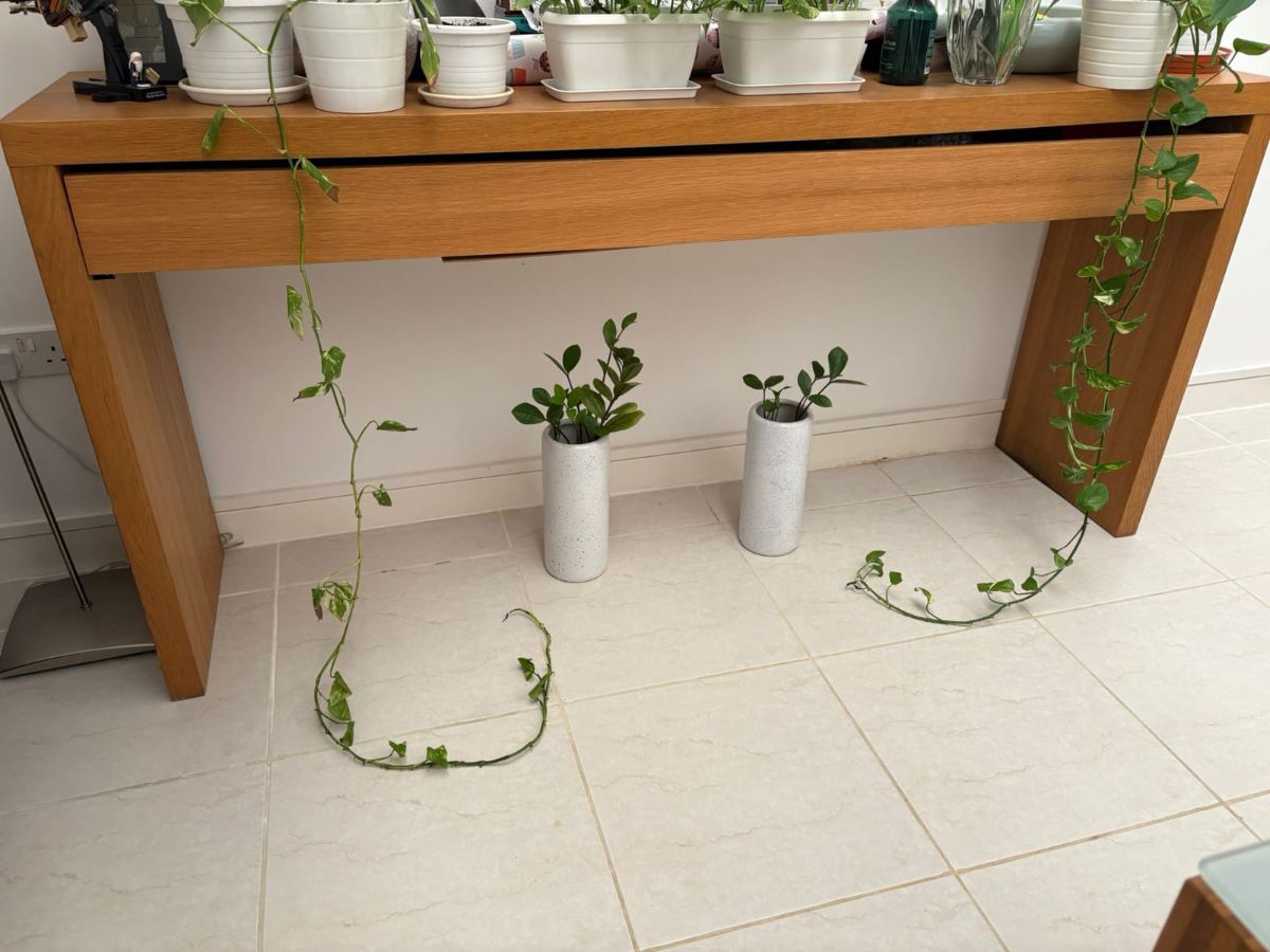 Used Furniture – Clearance - Image 5