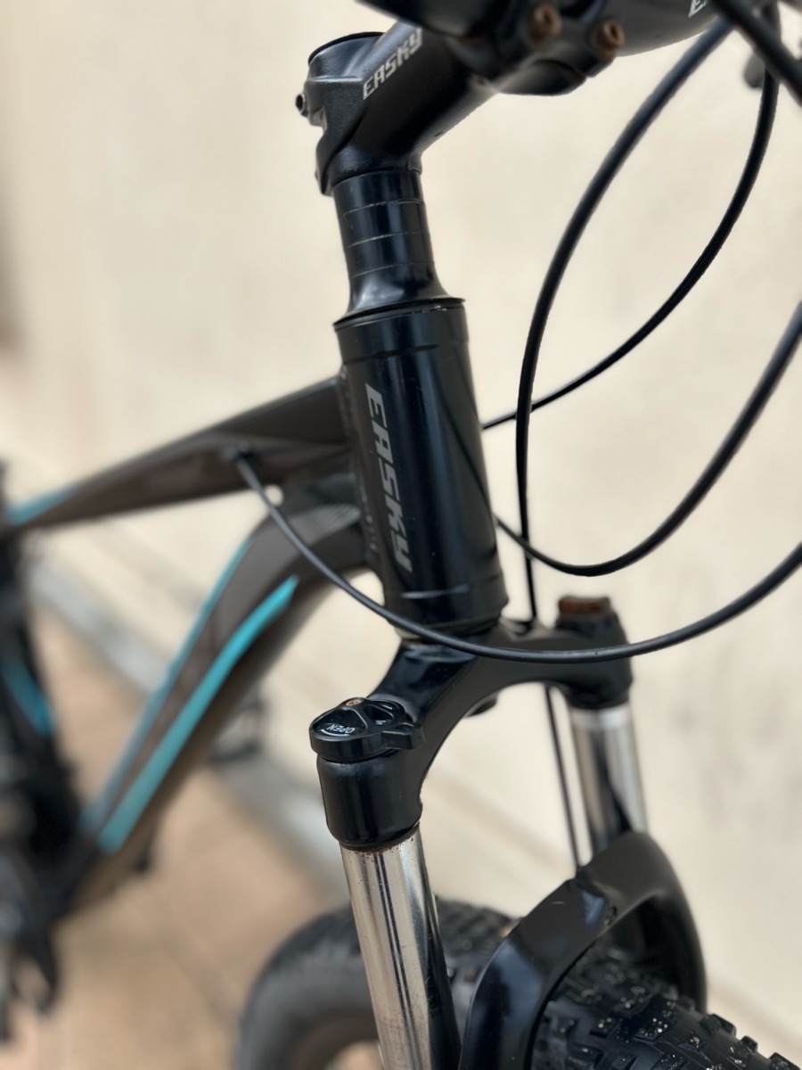 Cycle 29 size - Image 2