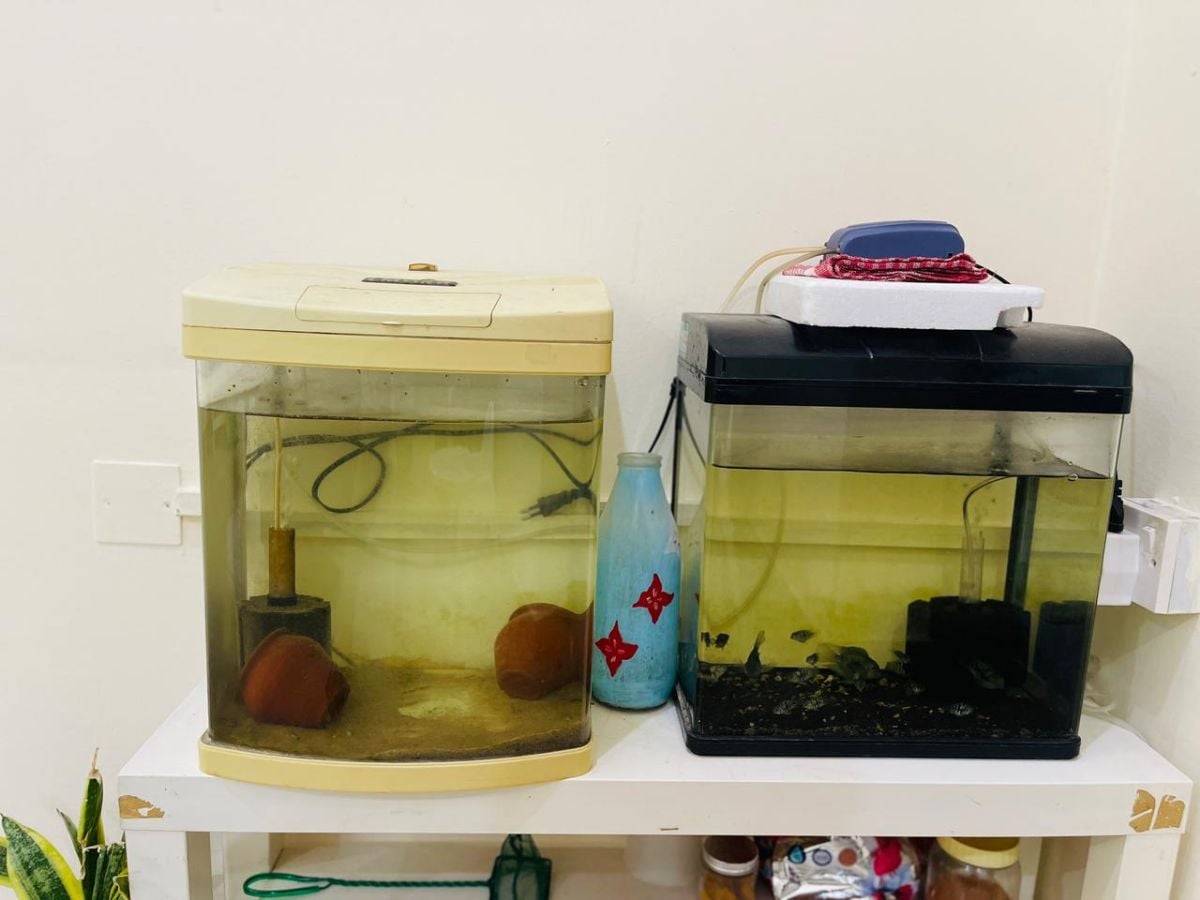 Fish Tank - Image 3