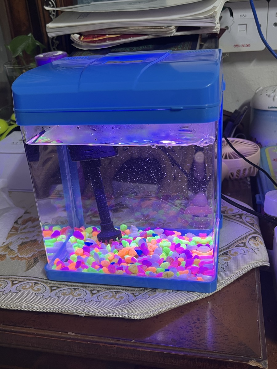 Mini fish tank - Image 7