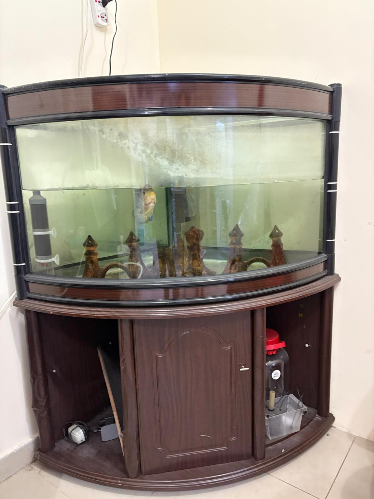 Fish tank only - Image 2
