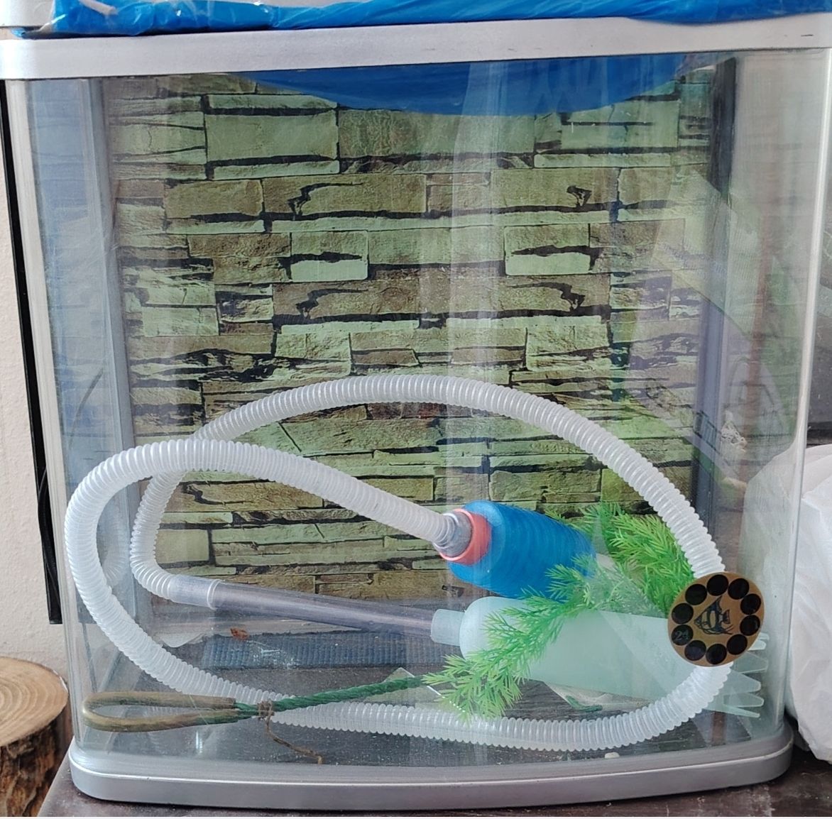 FISH TANK - Image 3