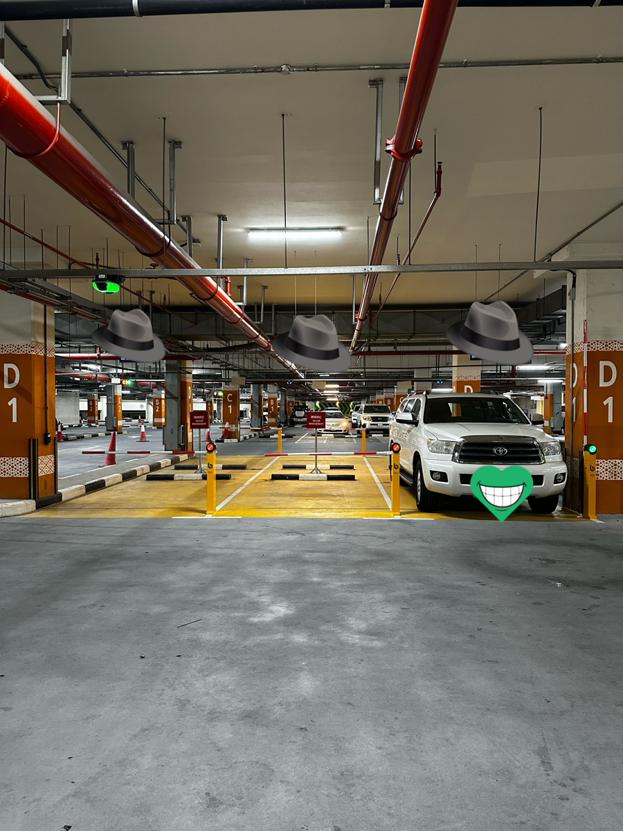 Barriers - Parking Solution - Single Car Parking Automatic Barrier - Image 10