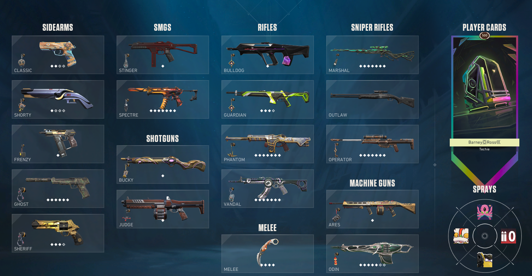 Valorant Platinum account with Skins - Image 1