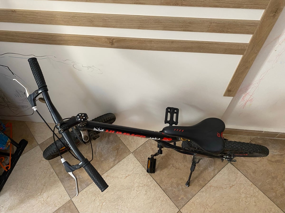 20” bicycle - Image 1