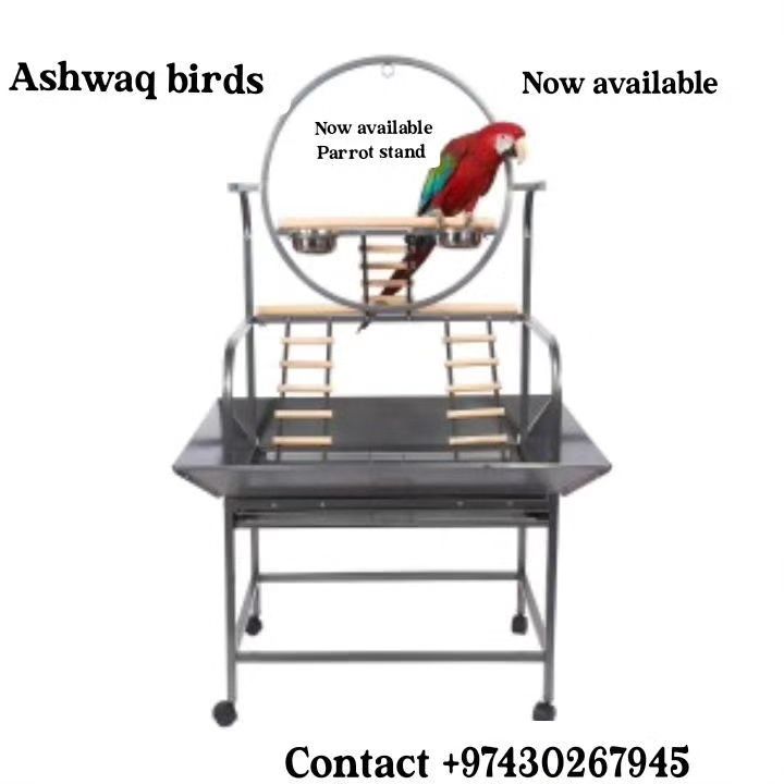 Birds stand - Image 1