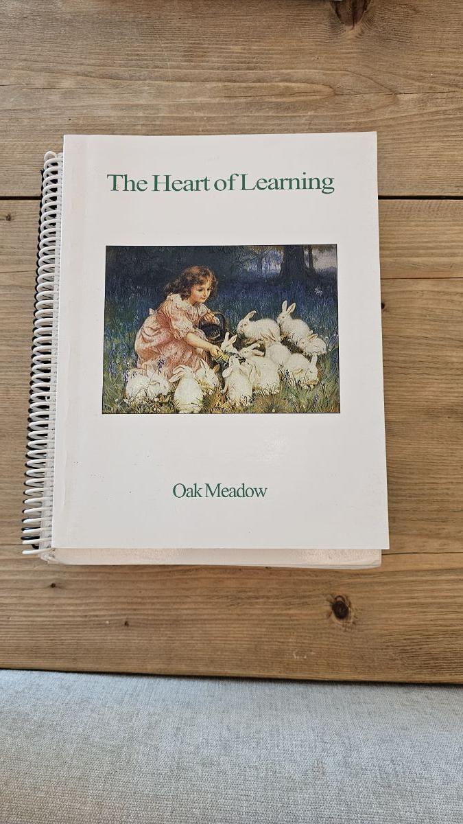 Home school curriculum - Image 7
