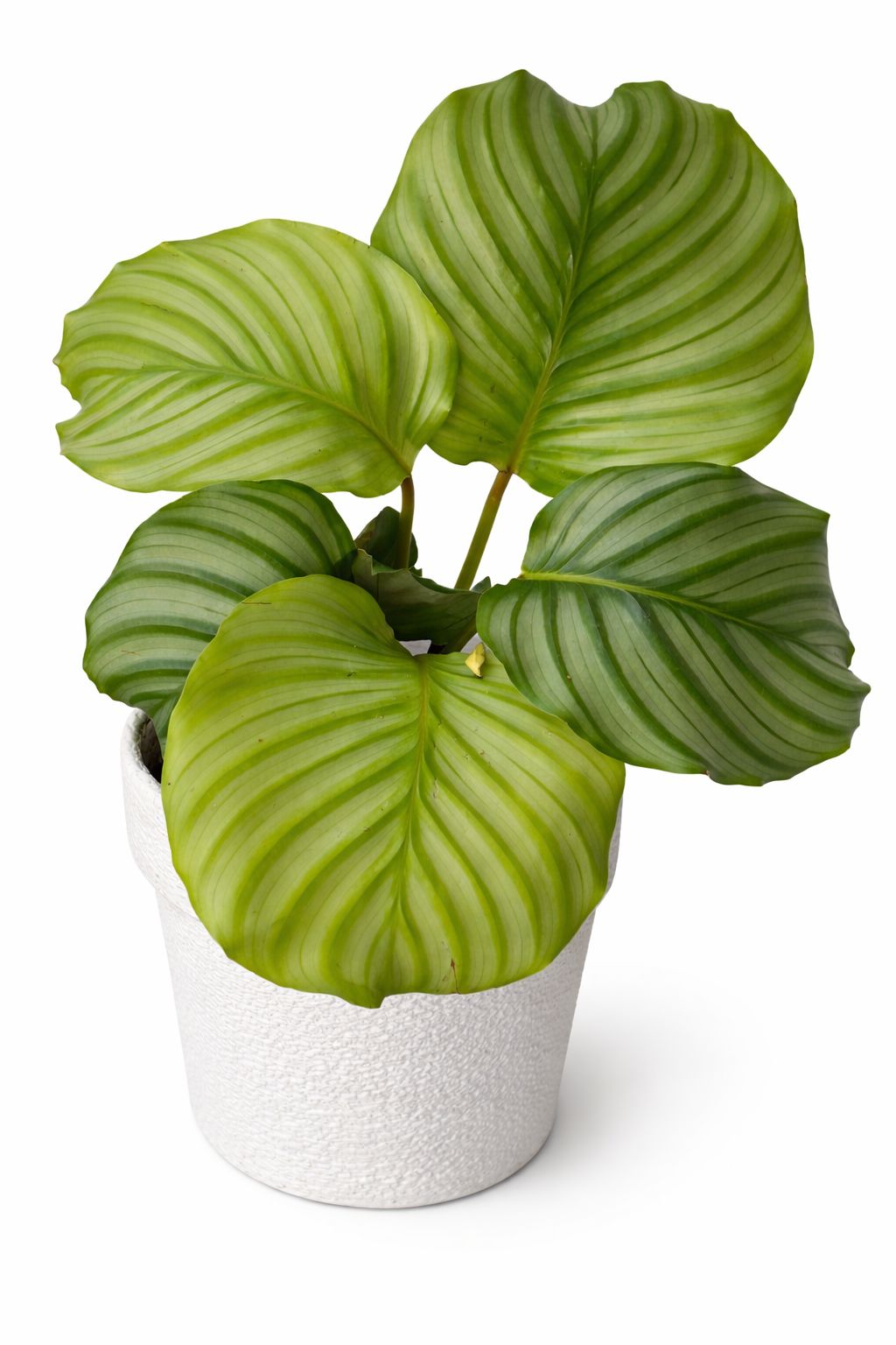  INDOOR AIR PURIFIERS  - Image 20