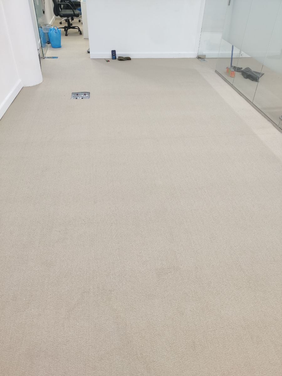 Thin Carpet Solid Color - Image 1