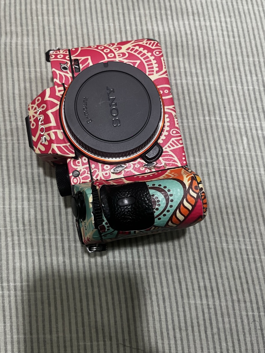 Sony Alpha 7R3 - Image 4
