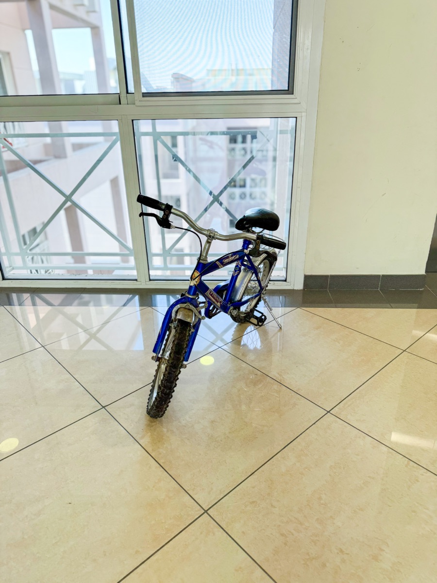 14 Philips Bicycle - Image 8