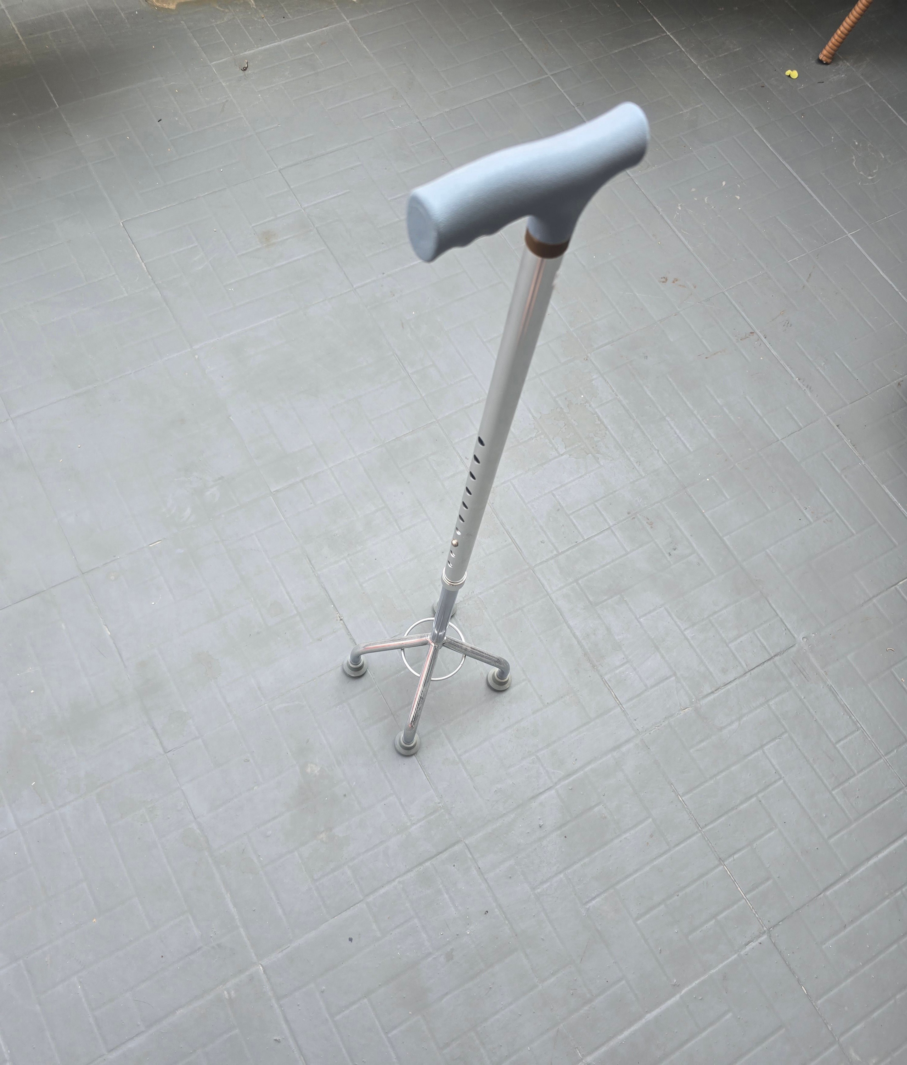 Walking stick - Image 2