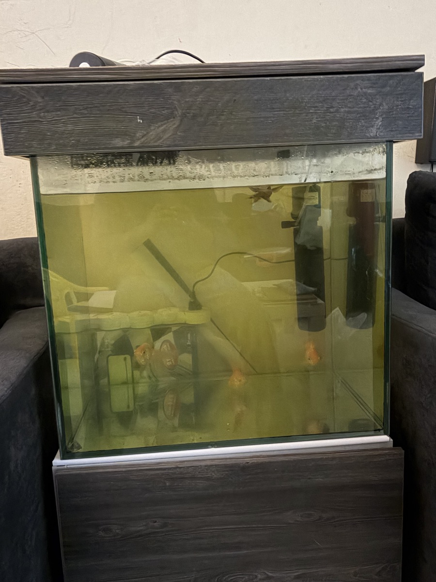 Fish Tank - Image 3