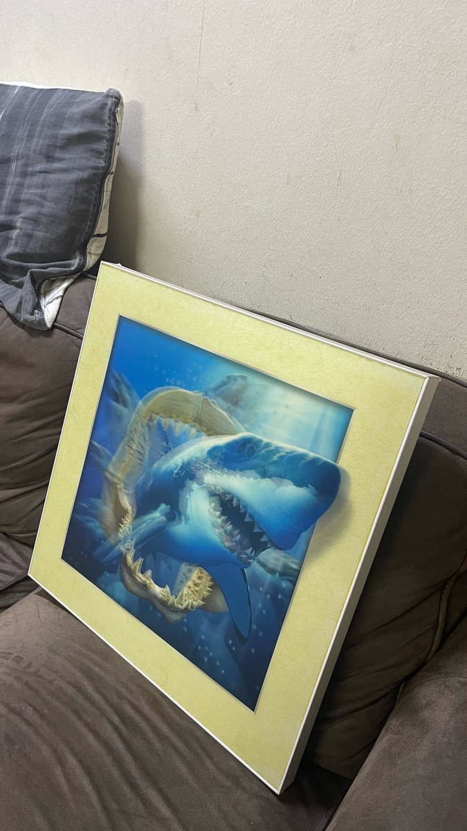 Shark picture frame 3D - Image 2