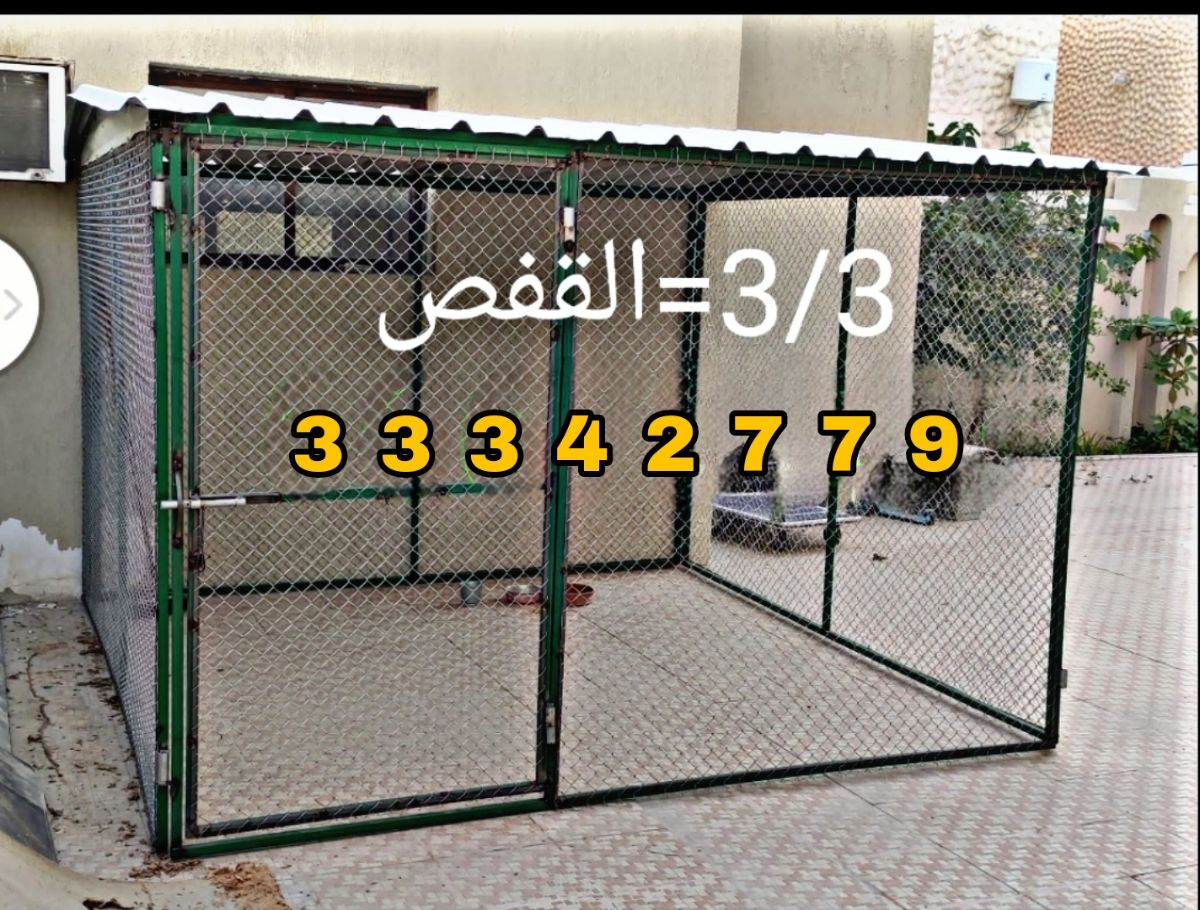Chicken Cage - Image 2