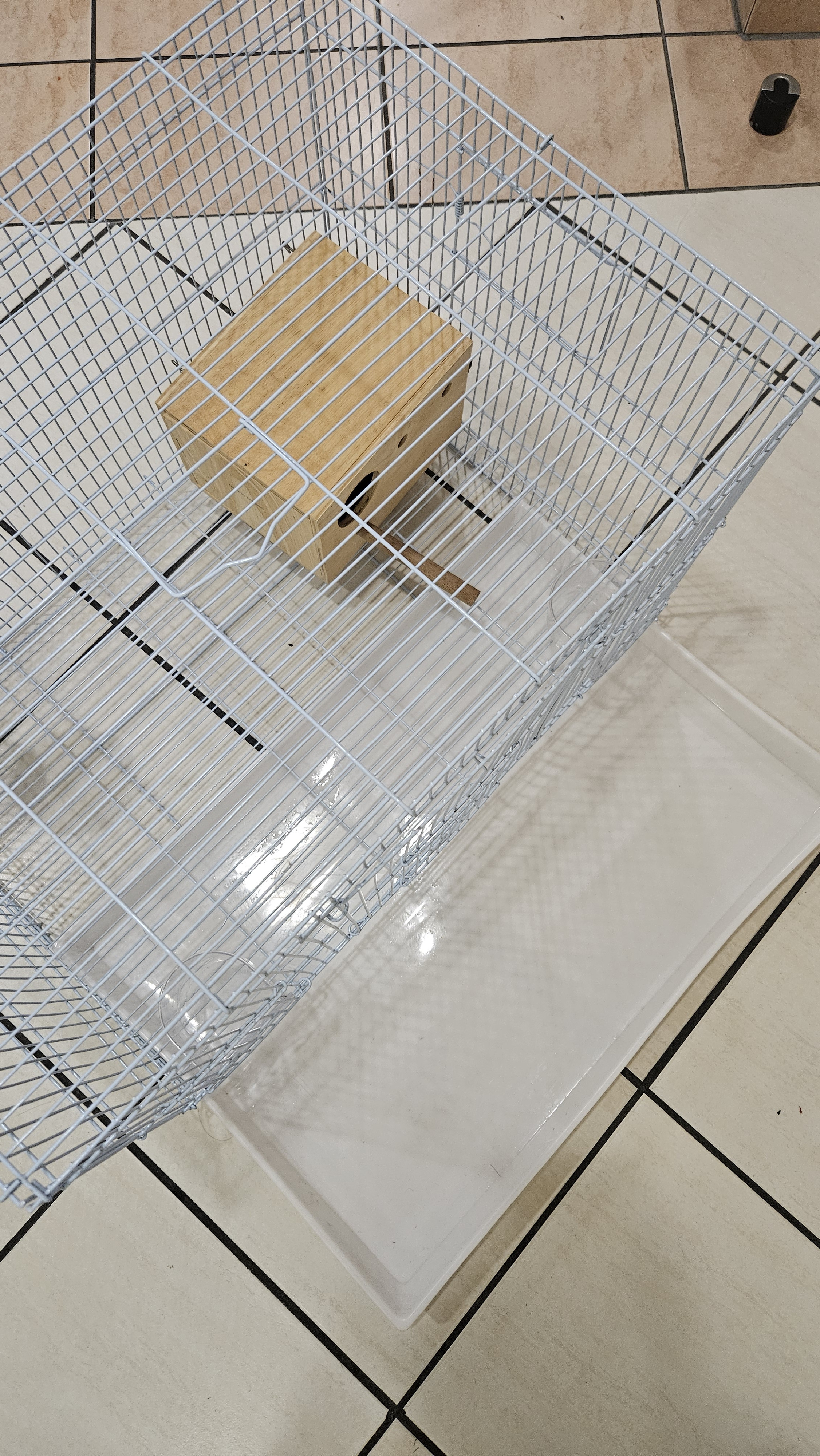 Metal Bird Cage like NEW - Image 5