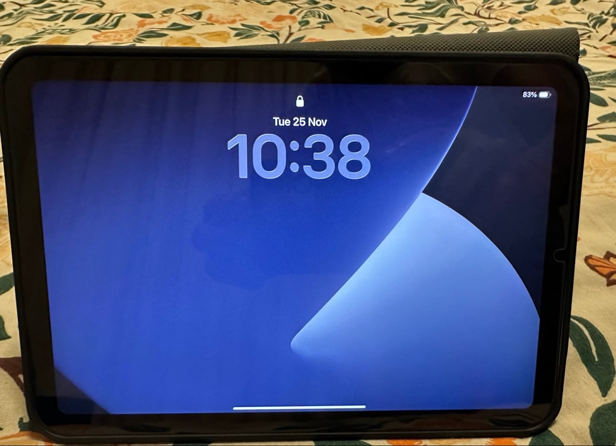 iPad Mini 6 – 256 GB (Excellent Condition) - Image 3
