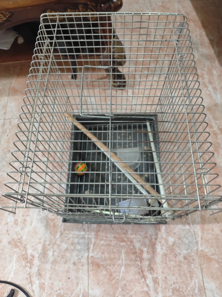Birds cage used very less - Image 3