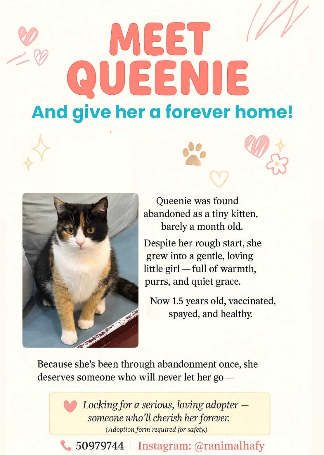 Meet Queenie and give her a forever home - Image 1