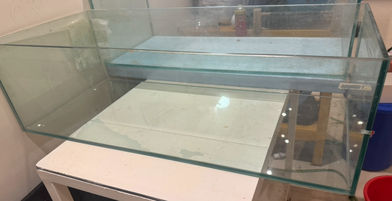Aquarium and accessories for sale - Image 7