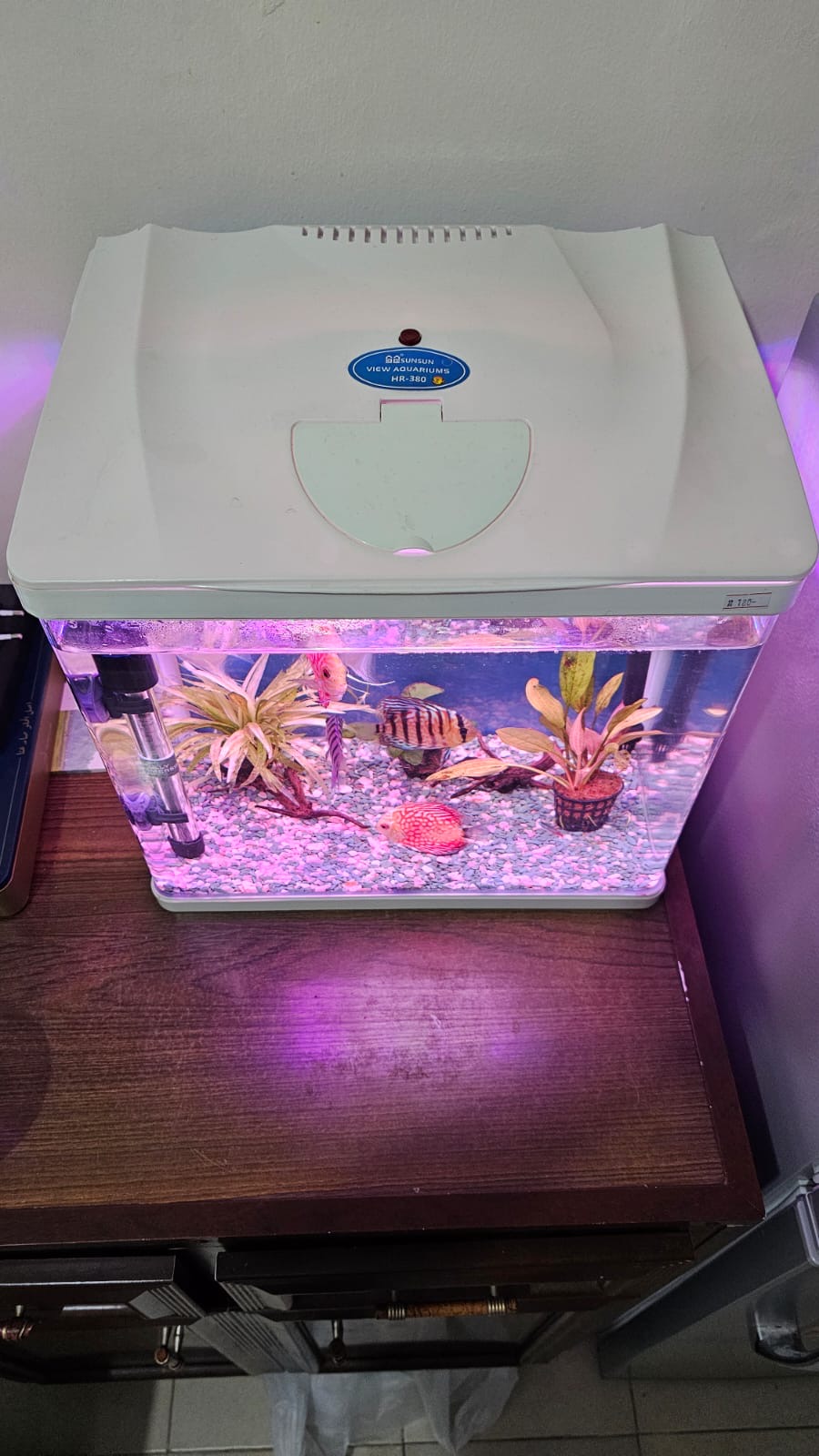 Fish Tank for sale.  Only Tank.  Well condition - Image 3