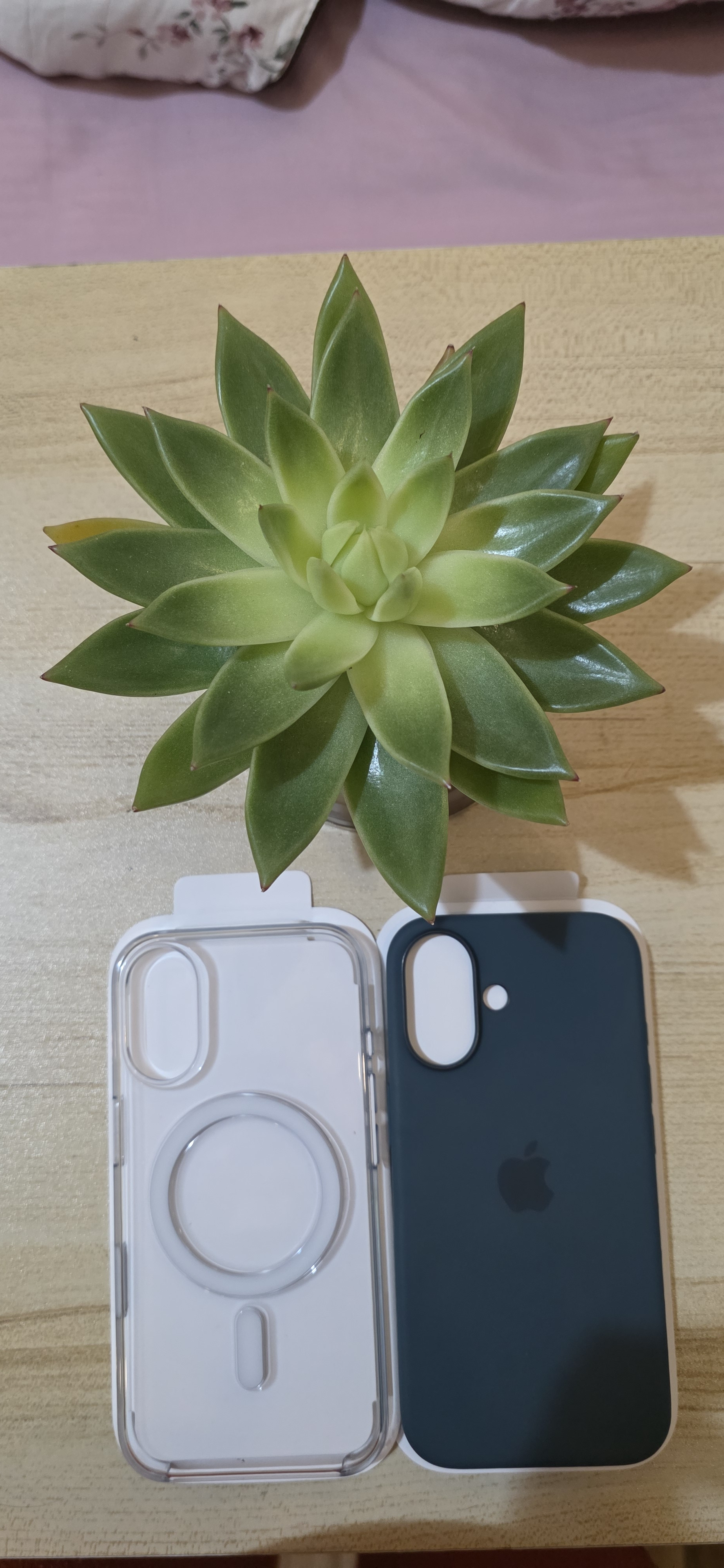 Iphone 16 case ORIGINAL from apple - Image 2