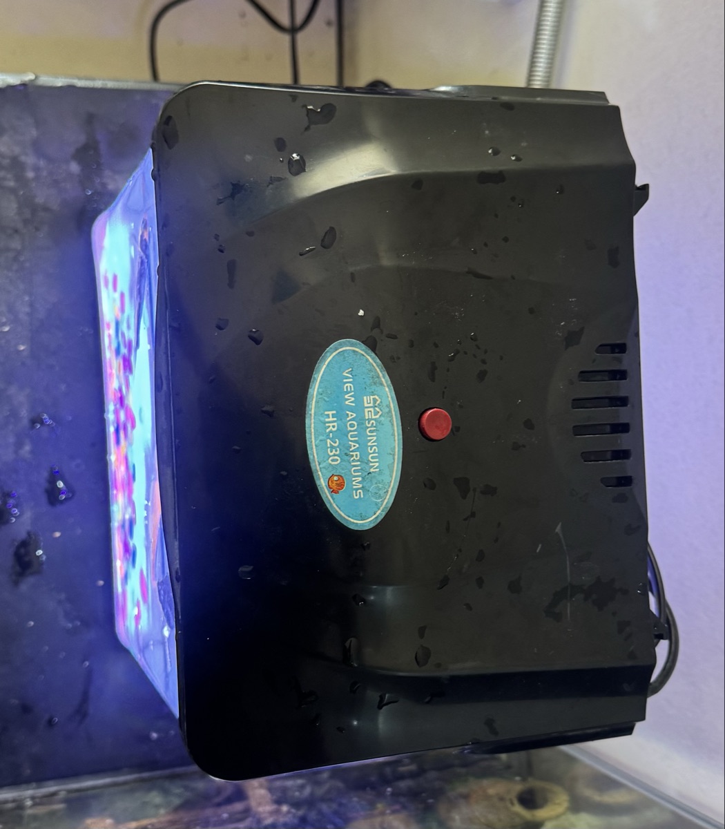 Fish’s with aquarium - Image 1
