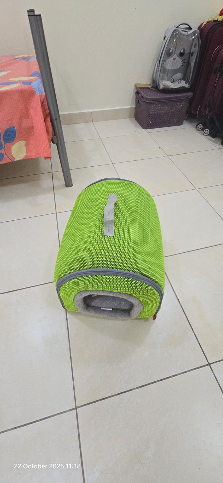 Cat House - Image 2